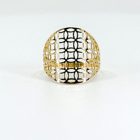 Anillo Malla