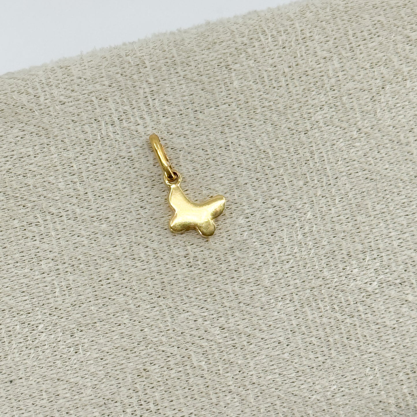 Dije Mariposa Dual oro 18k ✨