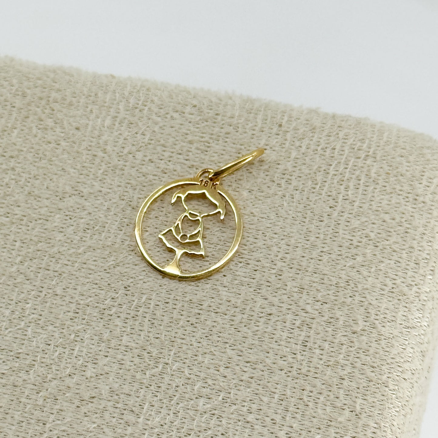 Dije Niña en Placa Redonda oro 18k ✨