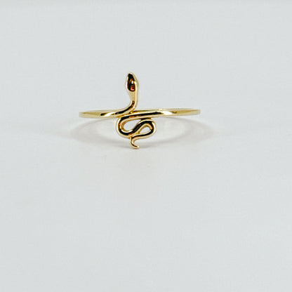 Anillo Snake