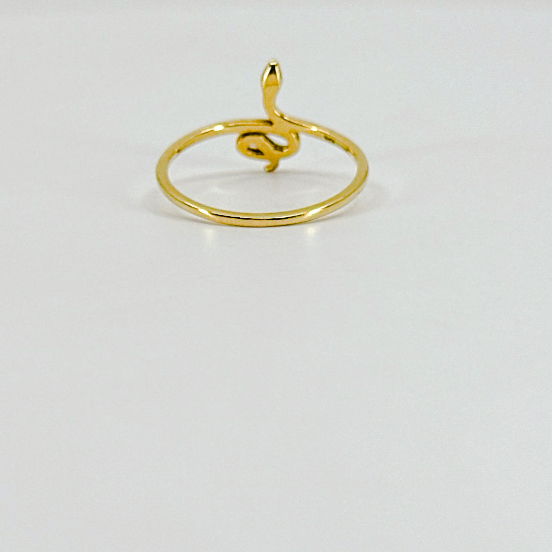 Anillo Snake