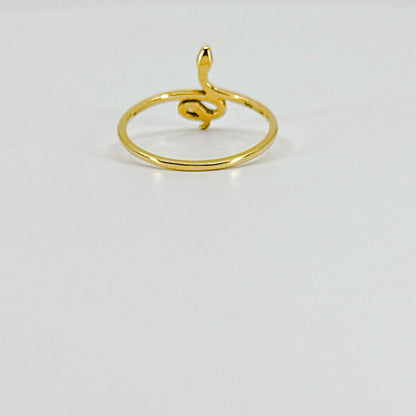 Anillo Snake