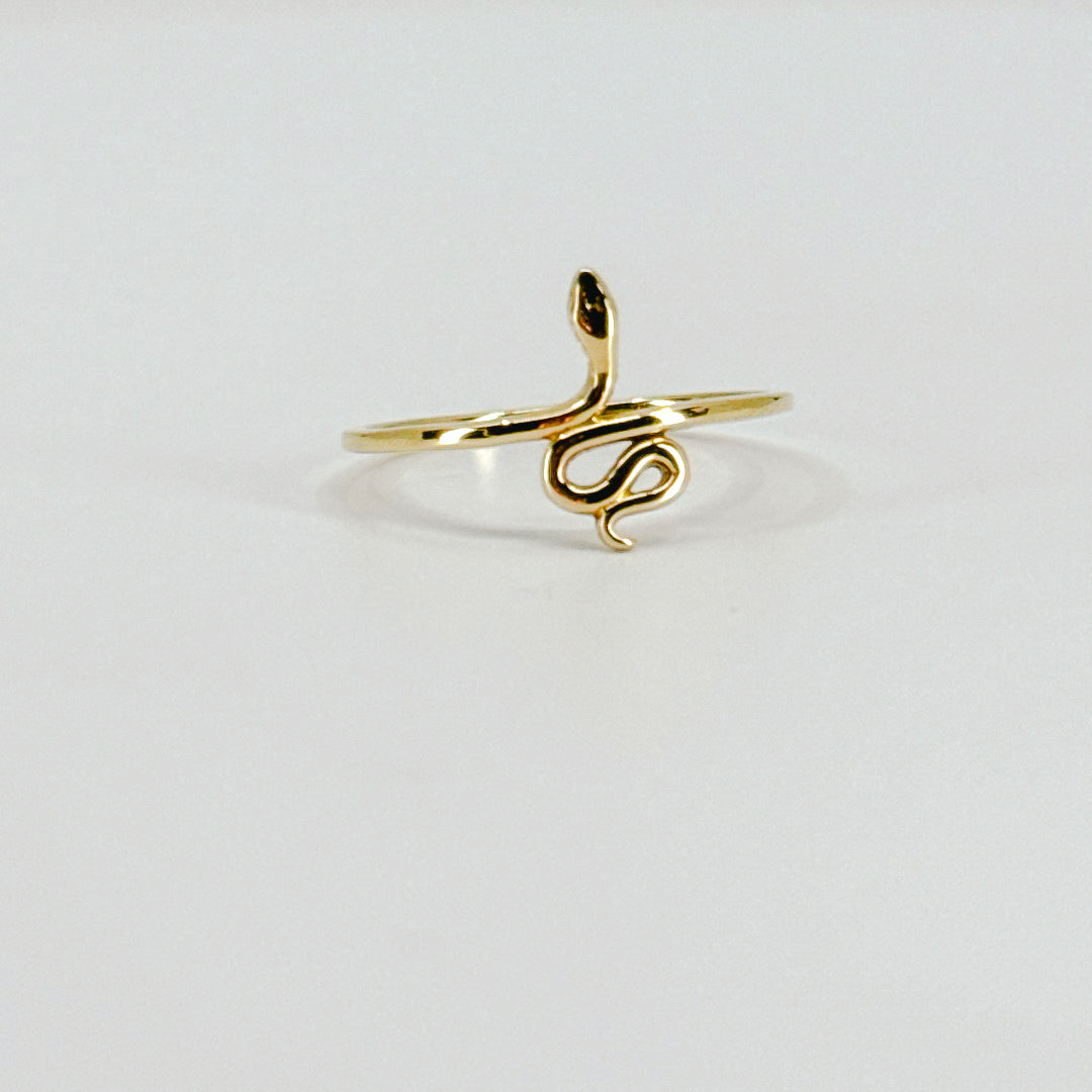 Anillo Snake