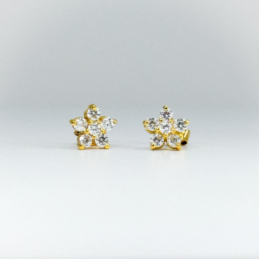 aretes rosetas clásicas