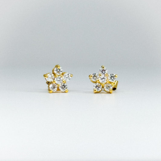 aretes rosetas clásicas