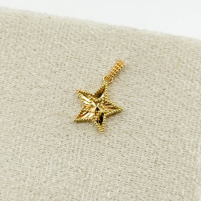 Dije “Estrella Boreal”