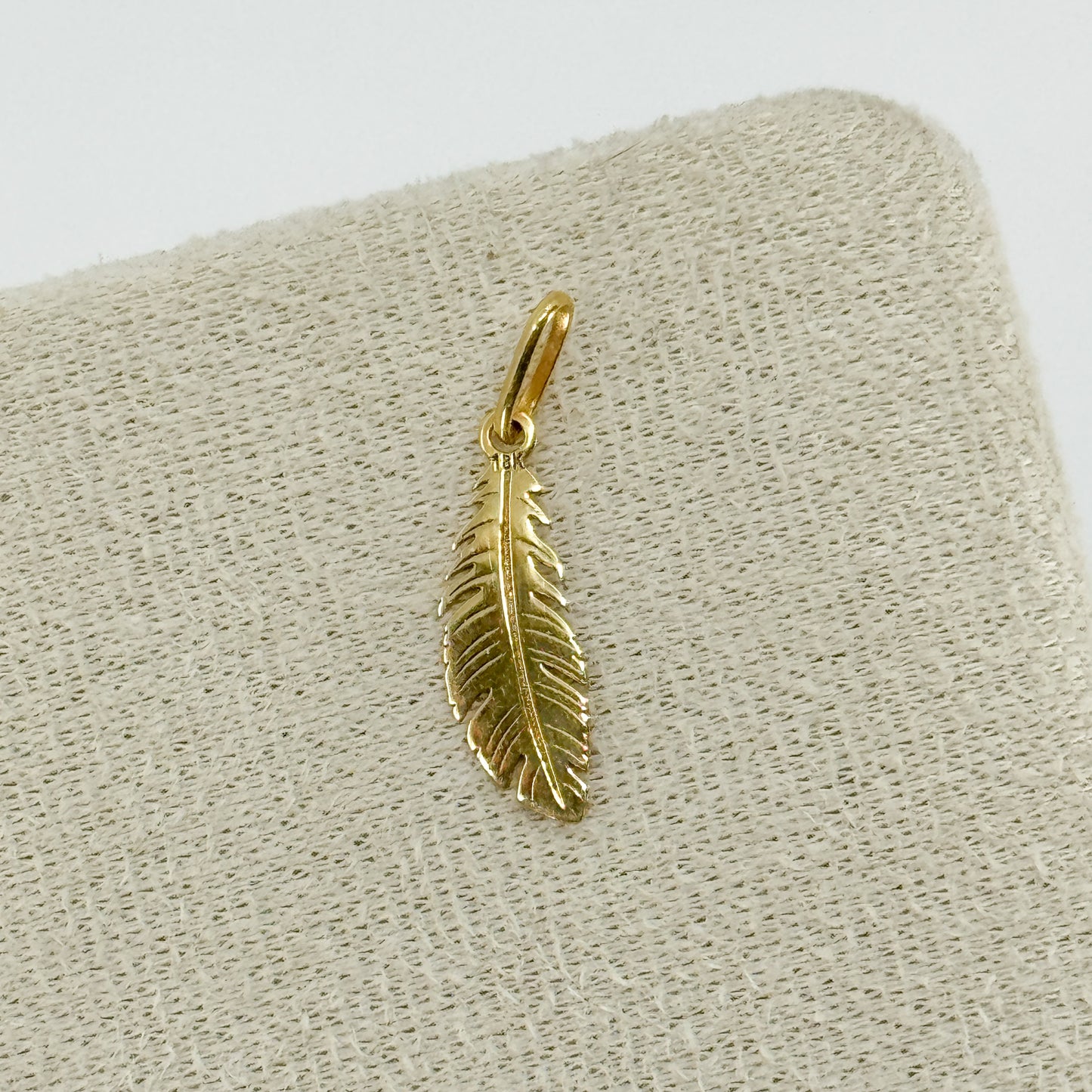 Dije “Pluma Sagrada”