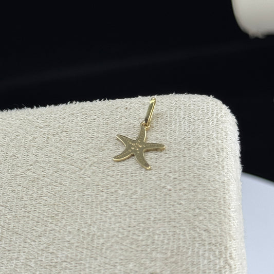 Dije Placa Estrella de Mar en Oro 18K