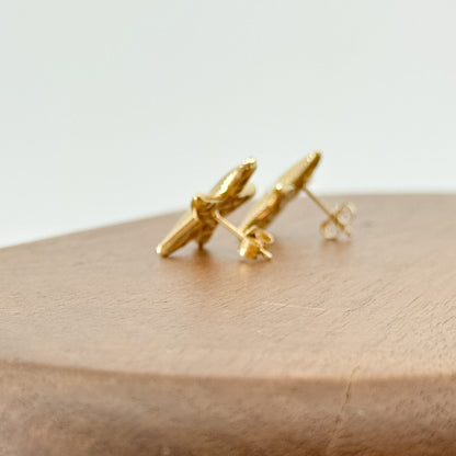 Aretes Estrella de Mar Esencia