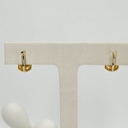 Aretes Clásicos Facetados en Oro 18K