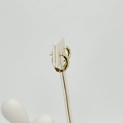 Aretes Clásicos Facetados en Oro 18K