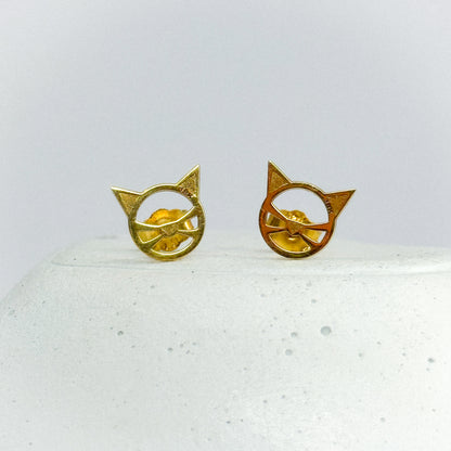 Aretes Cat