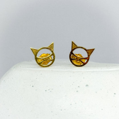 Aretes Cat