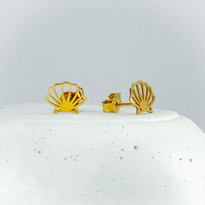 Aretes conchita de mar en oro 18k