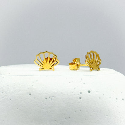 Aretes conchita de mar en oro 18k
